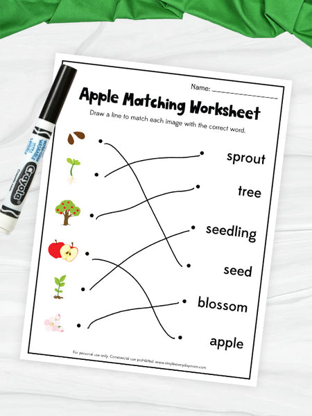 apple matching worksheet