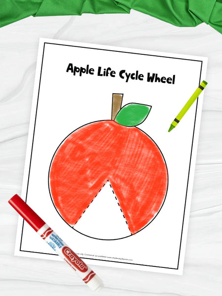 apple life cycle wheel printable