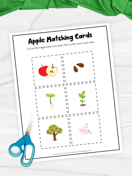 apple matching cards printable