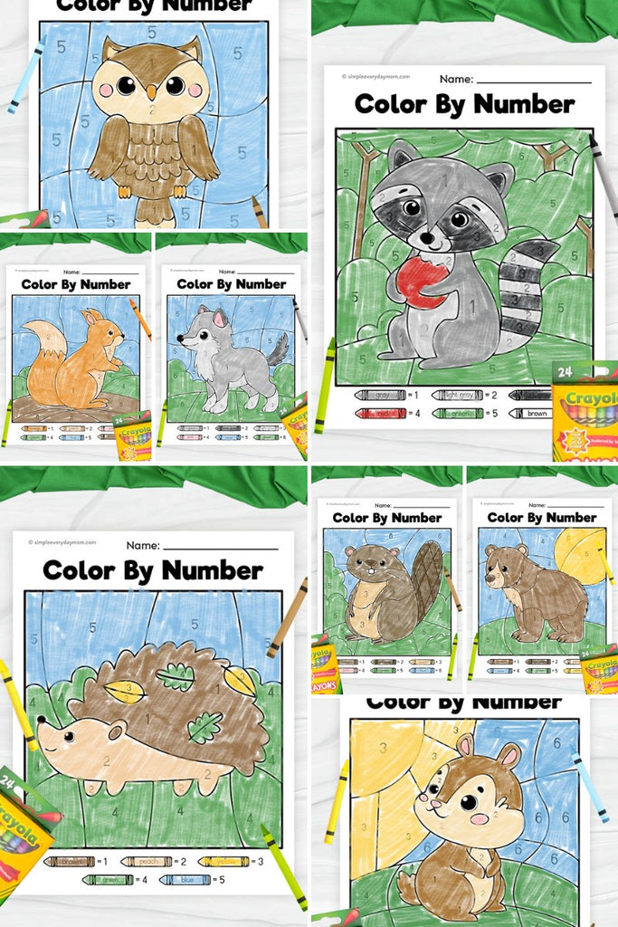 collage image of woodland animal color by numbers