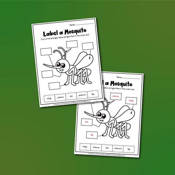label a mosquito worksheet
