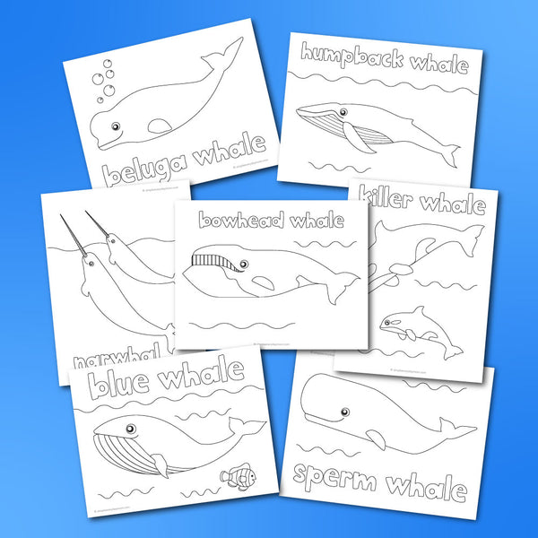 Whale Coloring Pages
