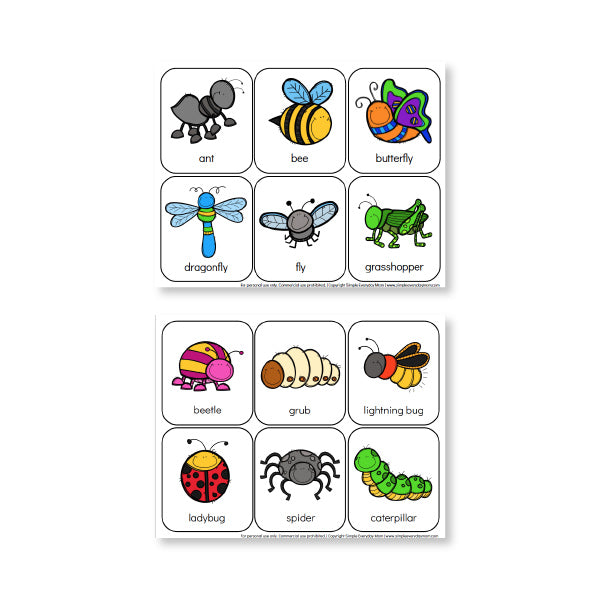 bug flashcards