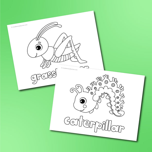 Insect Coloring Pages For Kids