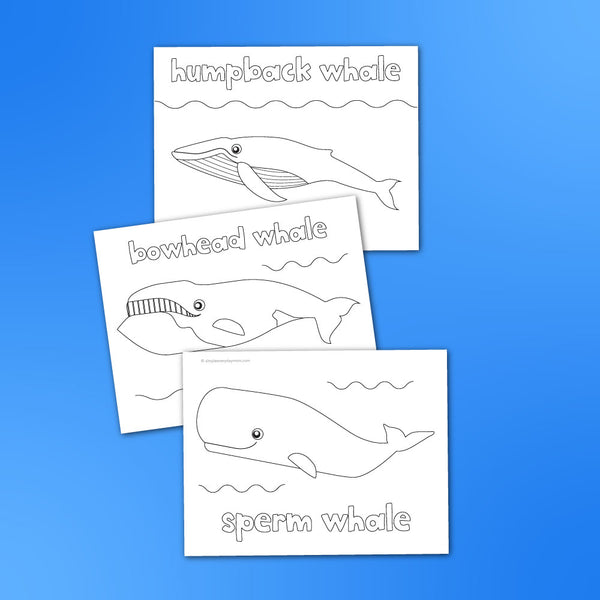 Whale Coloring Pages