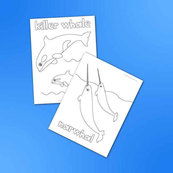 Whale Coloring Pages