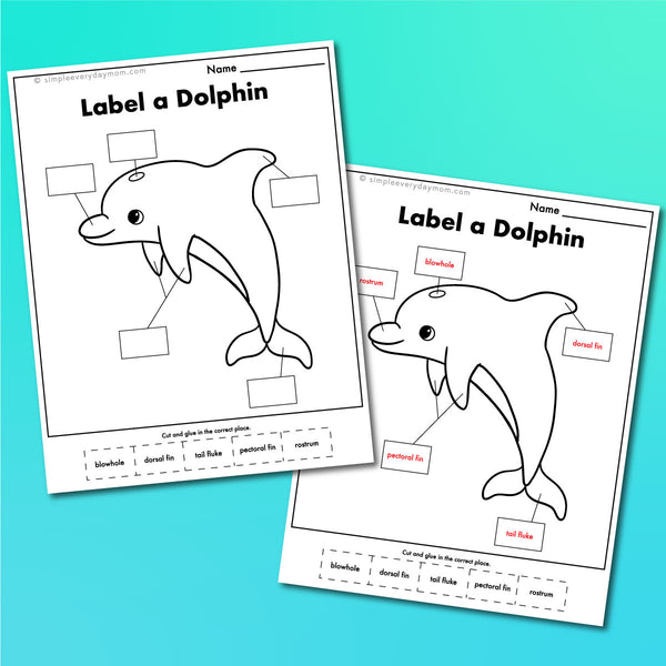 Ocean Animal Worksheets