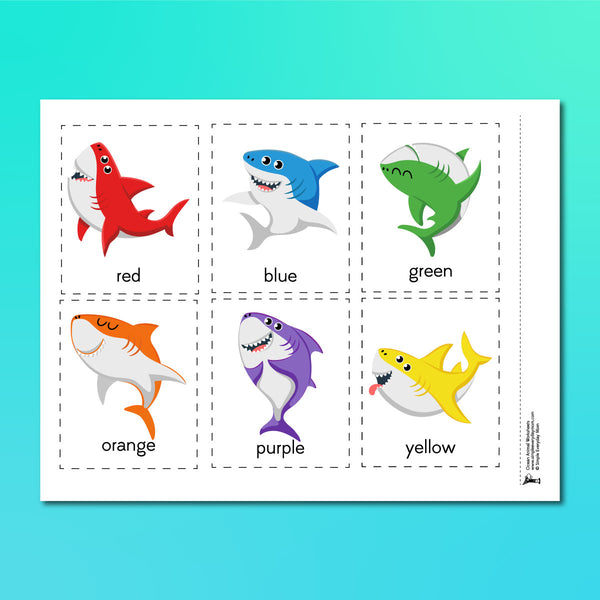 Ocean Animal Worksheets