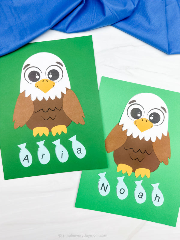 Two eagle name crafts on white background with blue fabric on top