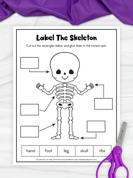 A black and white printable skeleton labeling worksheet shown on a white marble surface, with purple fabric draped at the top and purple-handled scissors at the bottom right.