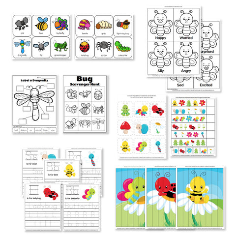 insect worksheets
